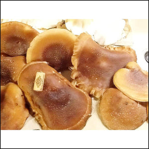 Fresh Shiitake mushroom